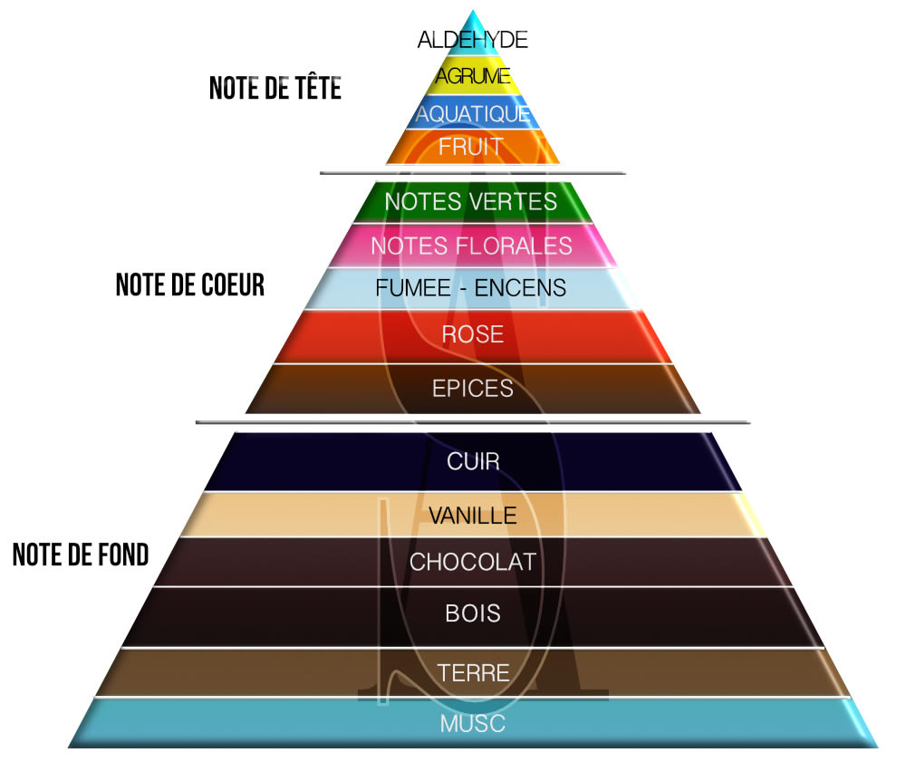 pyramide olfactive parfum