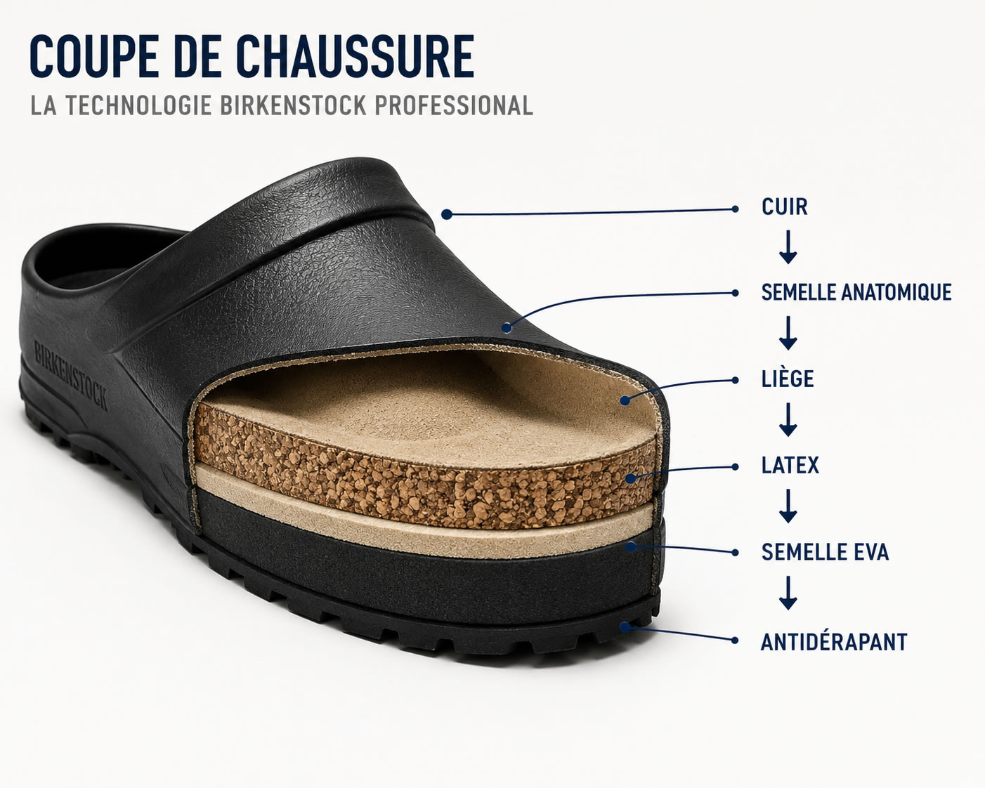 Structure d'une chaussure Birkenstock Professional Coupe d'une chaussure Birkenstock Professional montrant les différentes couches : cuir, semelle anatomique, liège, latex, semelle EVA et semelle antidérapante.