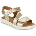 23560929 120 A