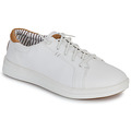 29819330 120 A