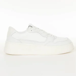 authentic 6